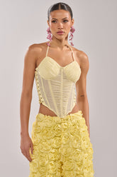 VACA VIBES MESH CORSET